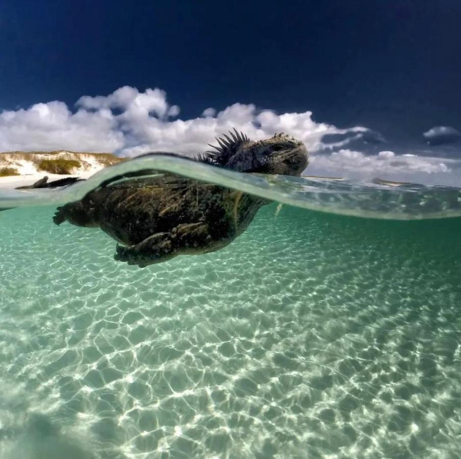 Sun Island Ξενοδοχείο Puerto Villamil Εξωτερικό φωτογραφία