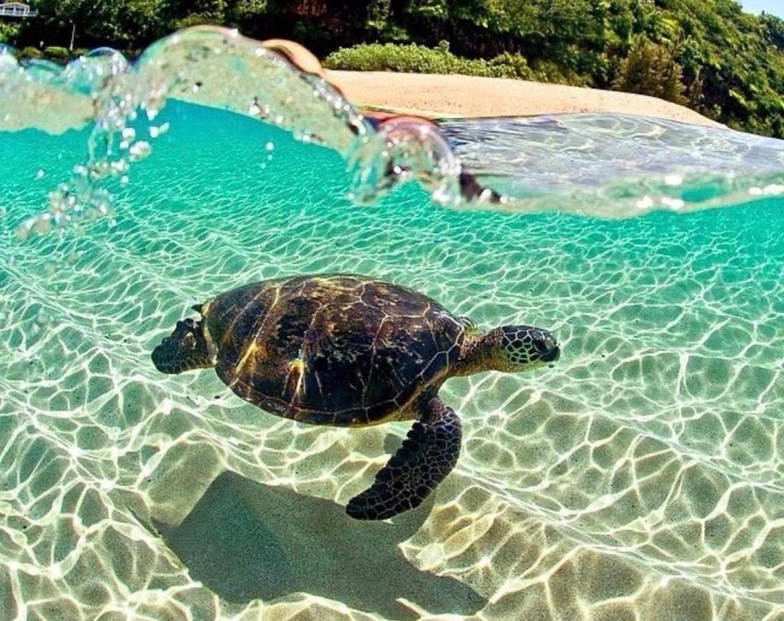 Sun Island Ξενοδοχείο Puerto Villamil Εξωτερικό φωτογραφία